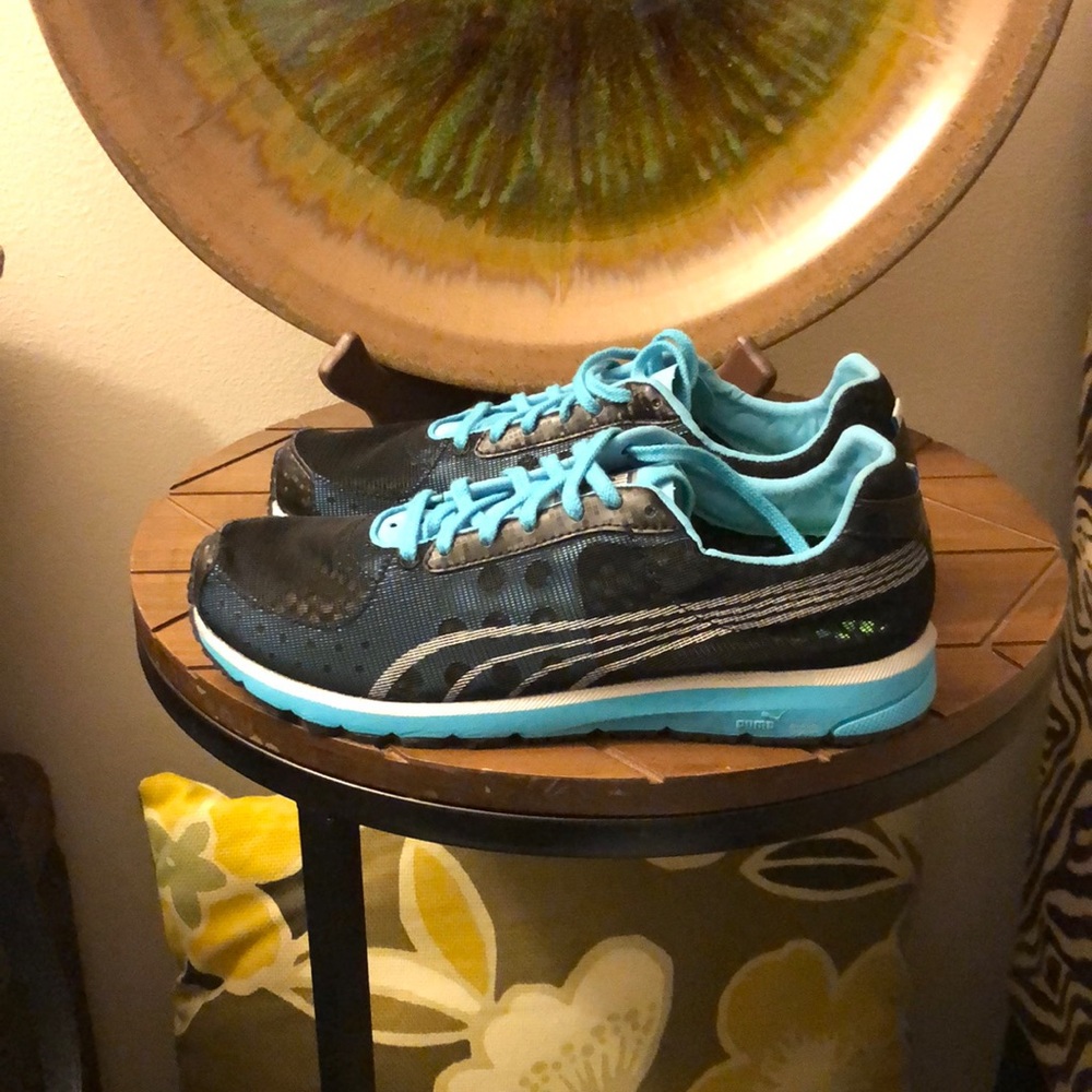 Puma faas 250 nm